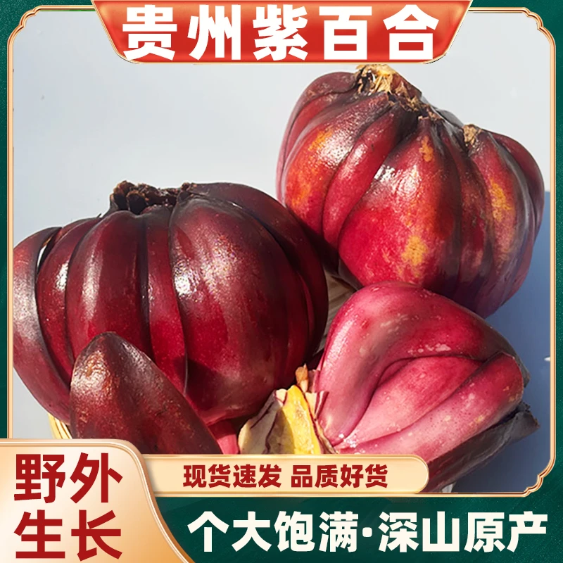 贵州深山野外生长农户自挖鲜紫百合山货