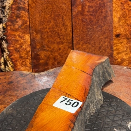 大果紫檀（缅甸花梨）