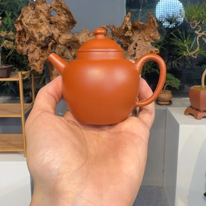 茶壶紫砂红降坡小壶啊啊啊啊啊啊