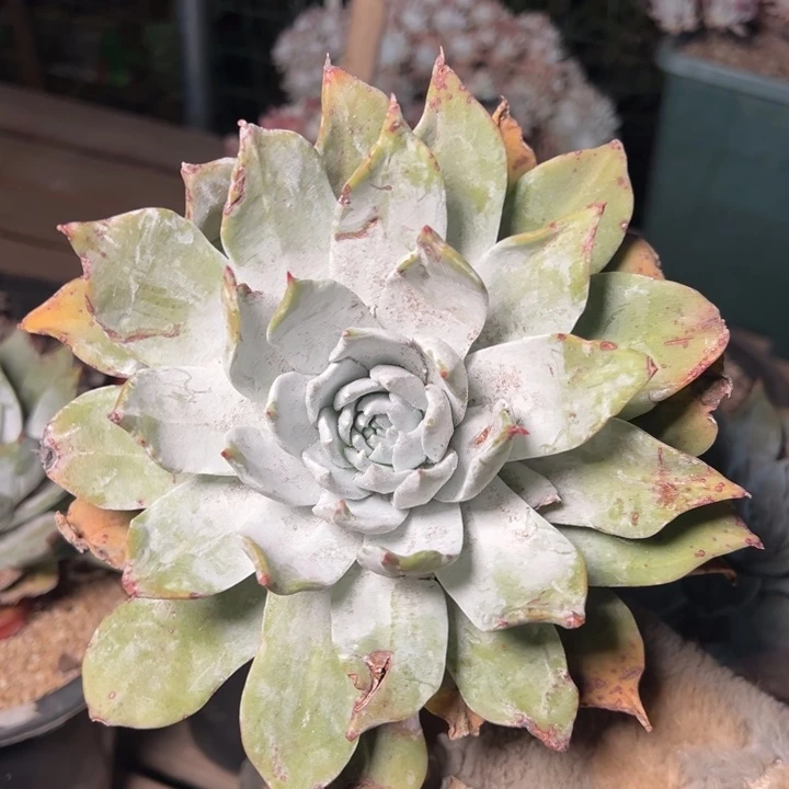 ✎****?464哈哈哈哈哈哈哈