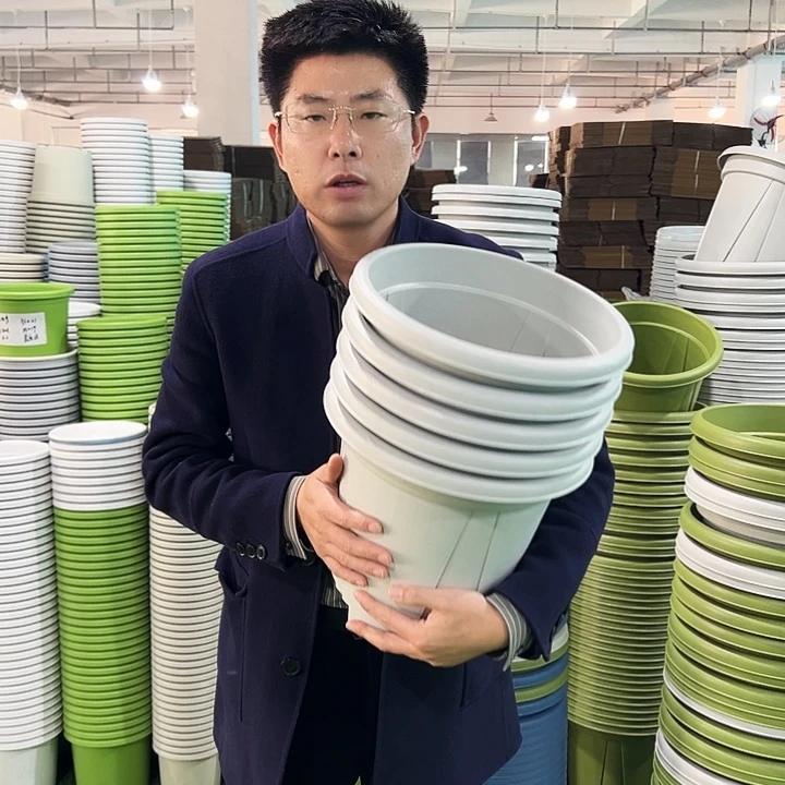 清仓青山口32高28灰白色5只无托