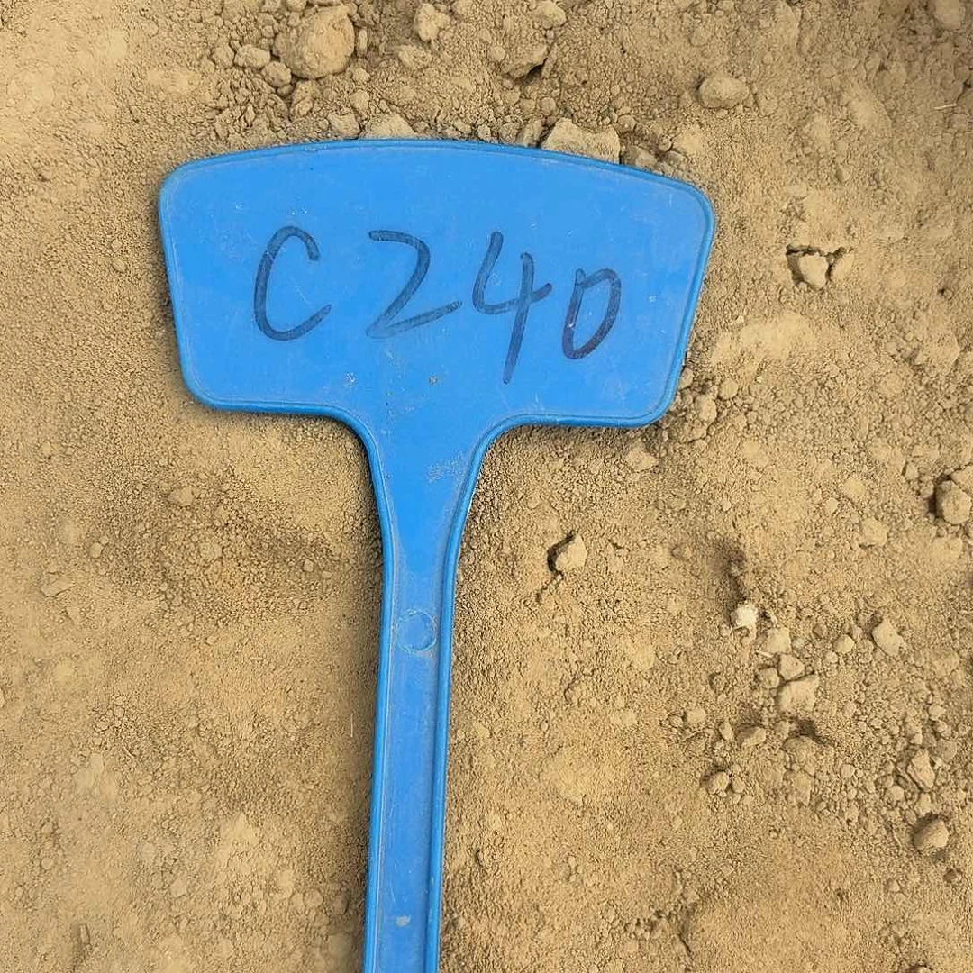 C240,量琉璃盏魅羽4cm瑕疵歪头