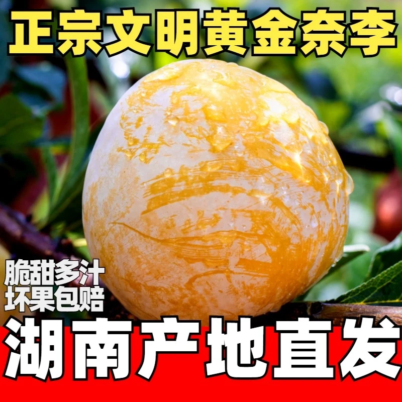 湖南汝城黄金奈李脆甜多汁新鲜应季水果包邮脱骨李大奈李