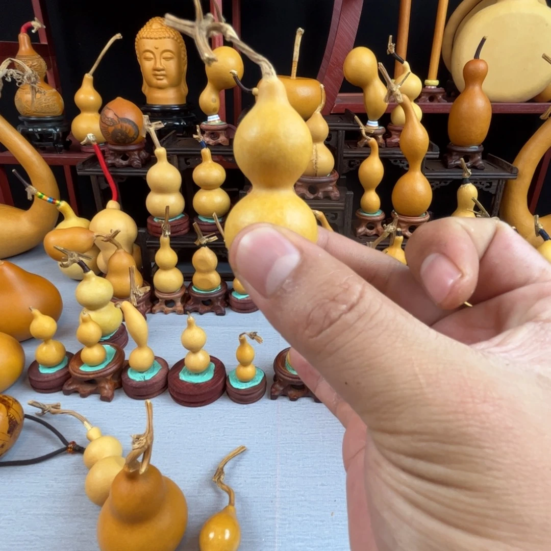 优***哥藤木我的小可爱，一点也不像个女孩