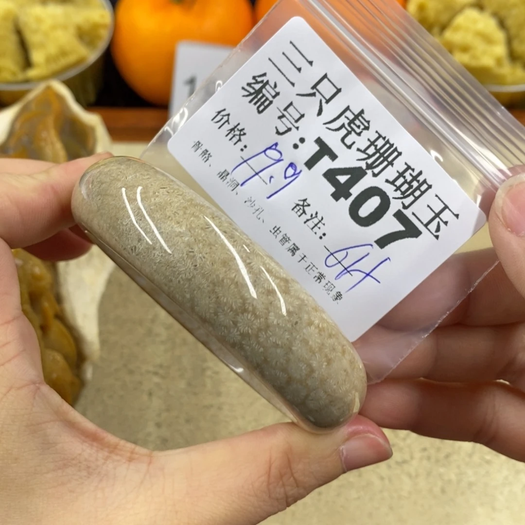 硅化珊瑚（珊瑚玉）1未镶嵌黑*