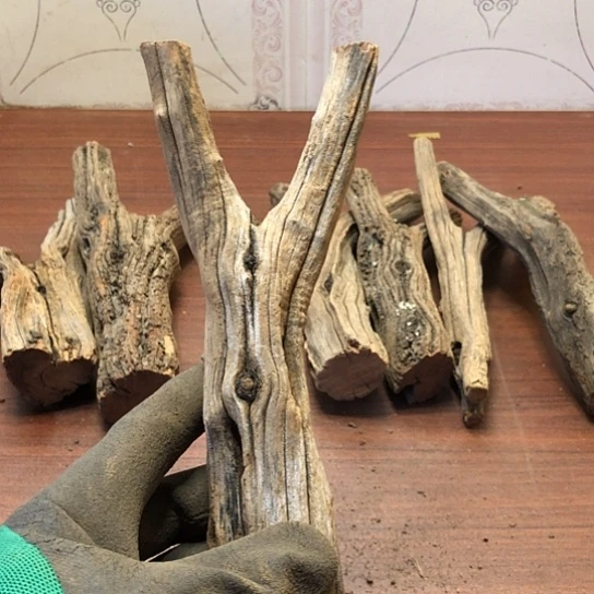 大果紫檀（缅甸花梨）7*5