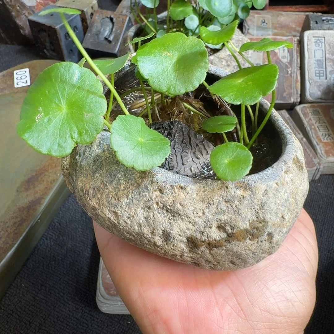歙砚石刻摆件麻石盆