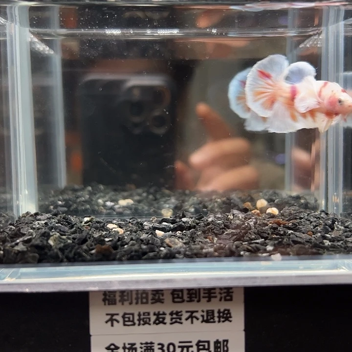 斗鱼满30包邮11日93