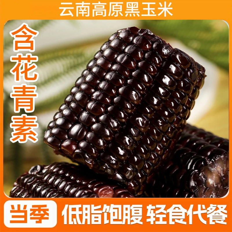 云南高原黑甜脆玉米 真空包装 开袋即食 代餐 脆甜颗粒饱满