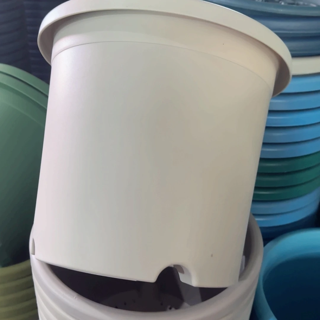 树脂特价5#无拖灰白6个