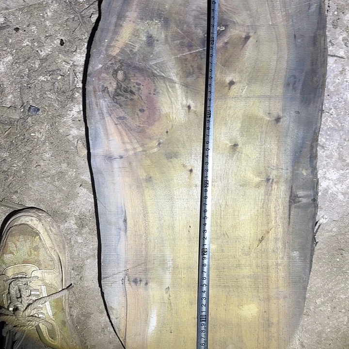 金丝楠啊啊啊啊啊