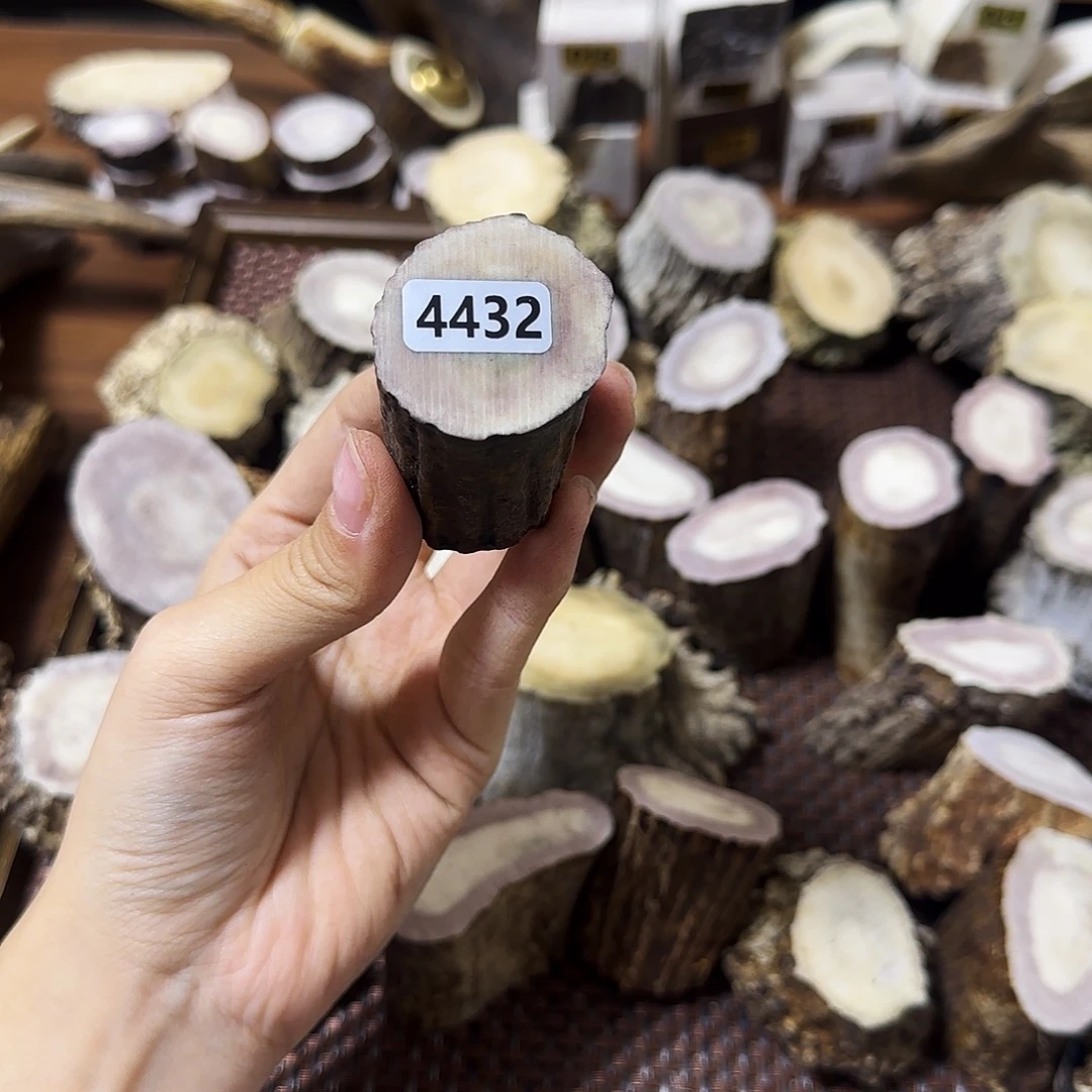 手串/手链鹿骨4432根段
