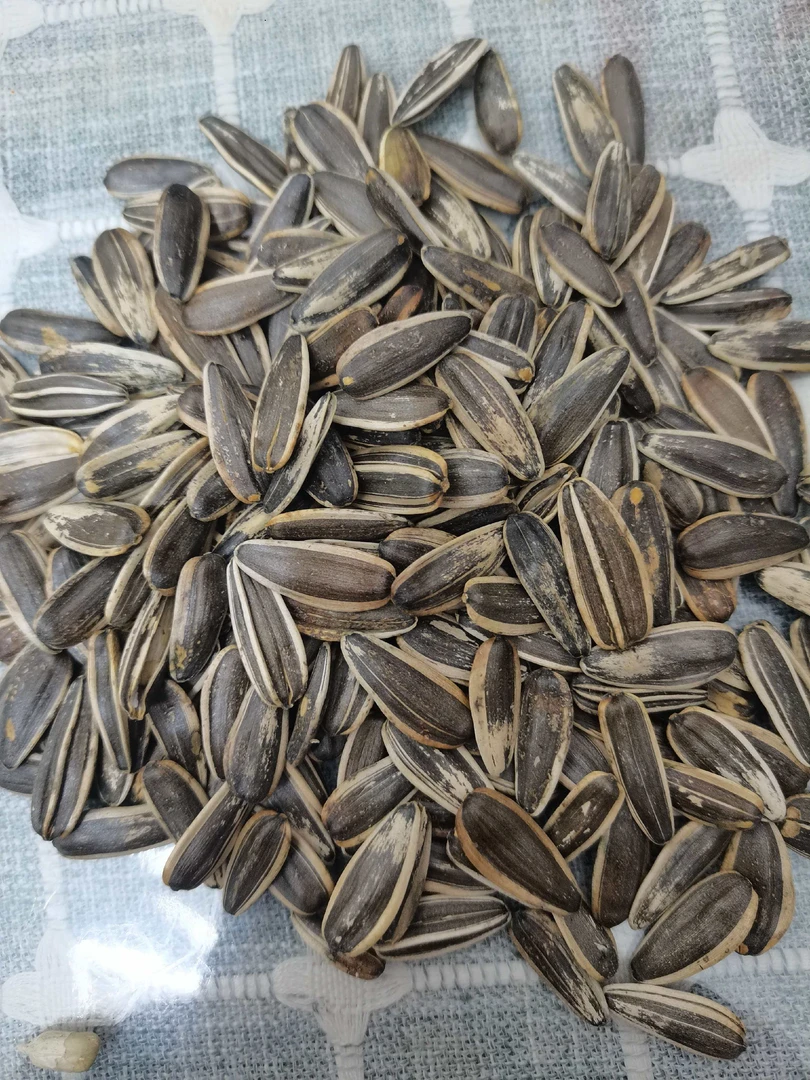 新货原味大颗粒熟葵瓜子炒瓜子熟瓜子原味追剧零食