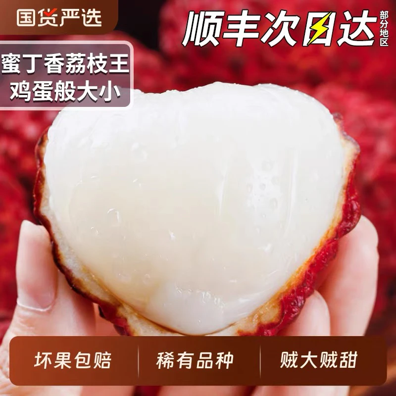 【顺丰冷链】正宗荔枝王蜜丁香小核新鲜发货当季水果非桂味白糖罂