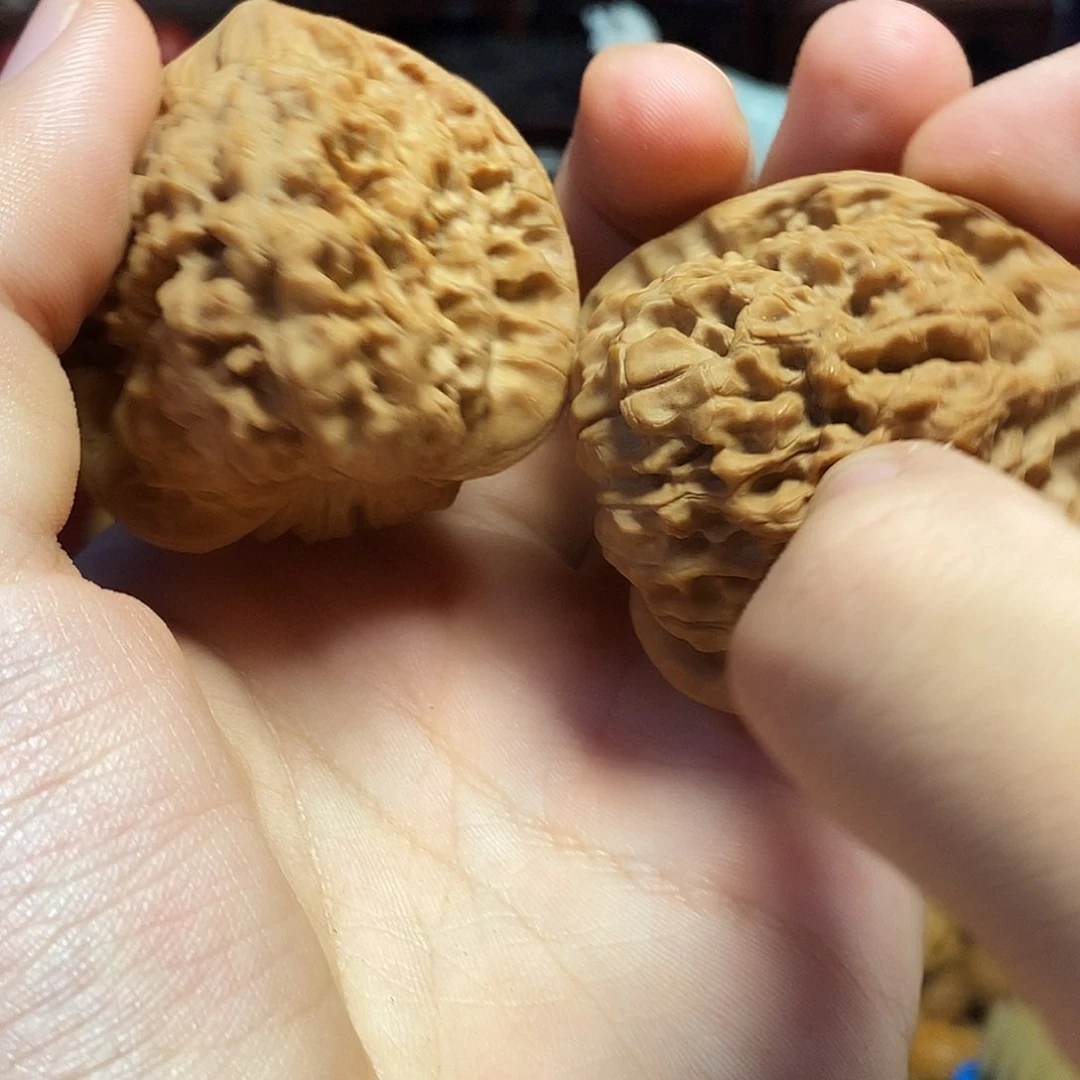 橄榄核手串/手链hbbbbbbbbbbhhbb