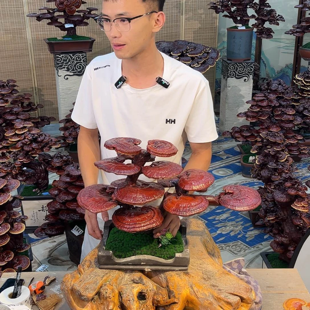 无花朵888888800000000000000000