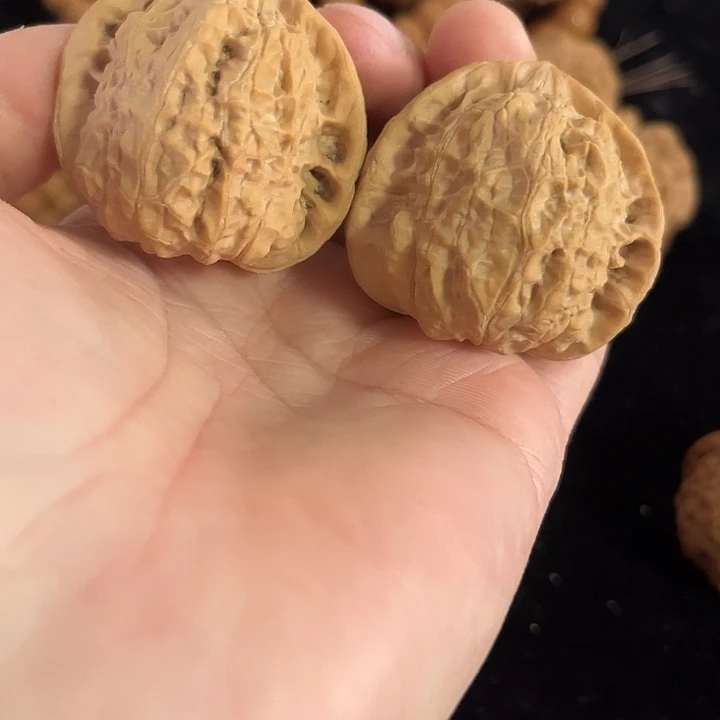 把件文玩核桃41左右南瓜墩，编号035