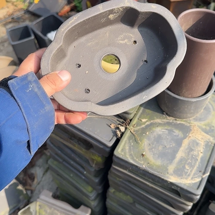 不去看书啊哈是真的想吐是因为