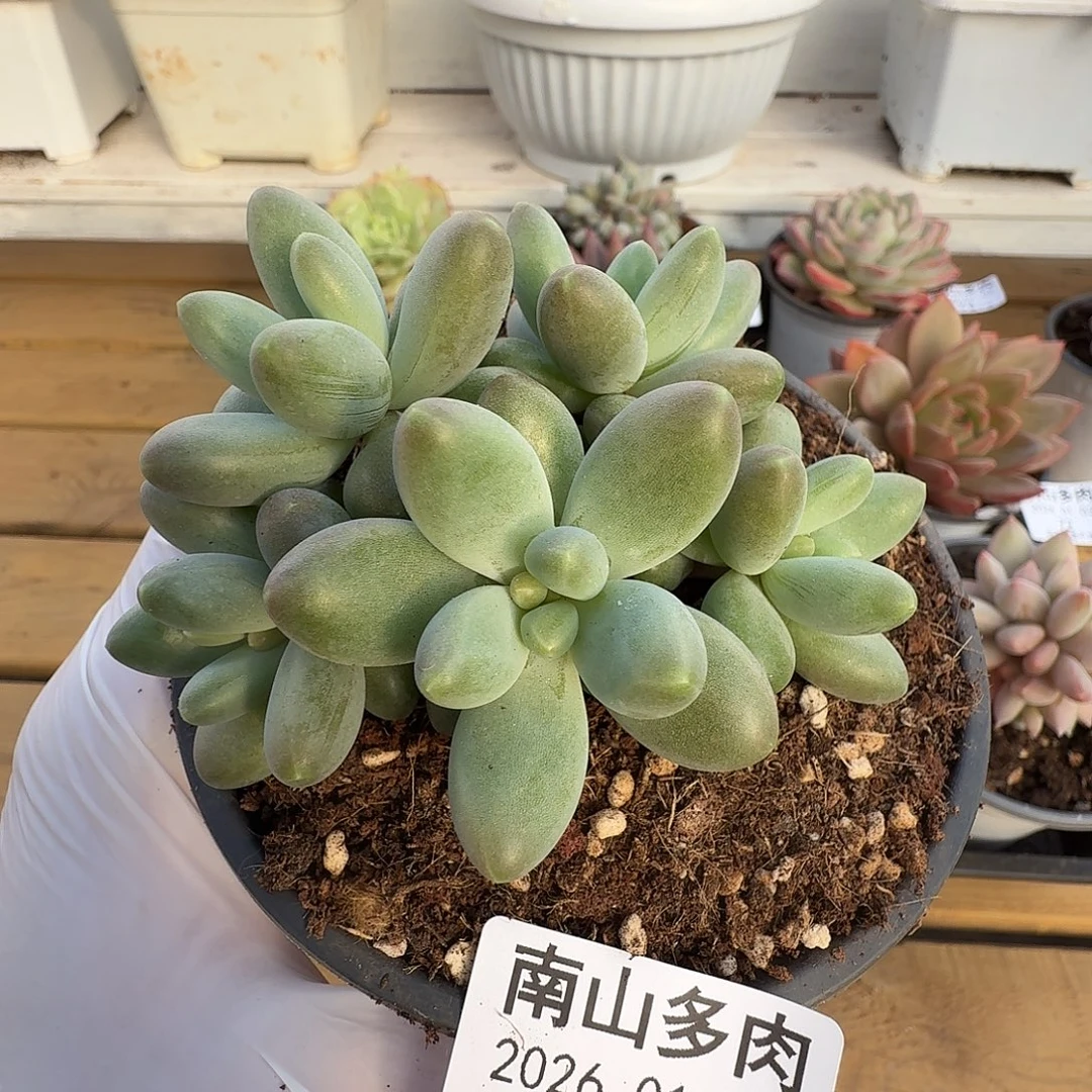 不知名111111102-77