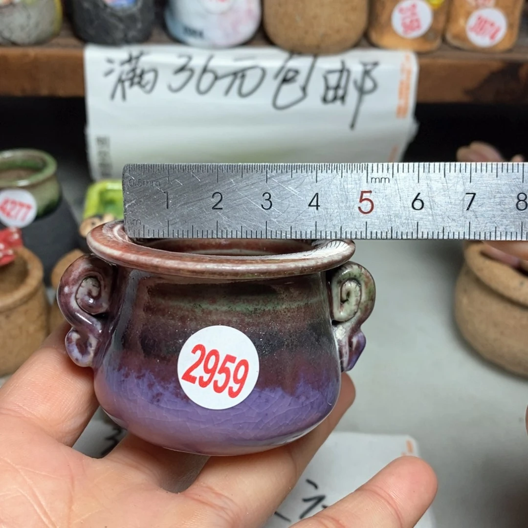 红陶拍5送一个小