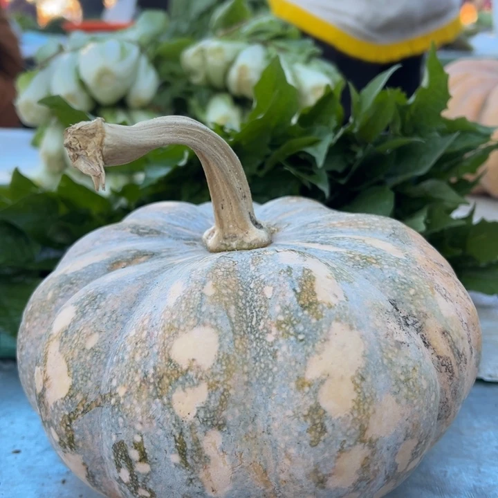 云南农家南瓜1个4斤