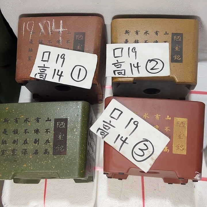 周深周深周深周深周深周深