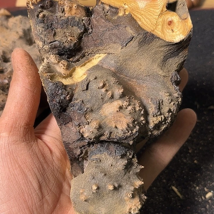 顺***风香榧木我们的确是一个人的生活方式