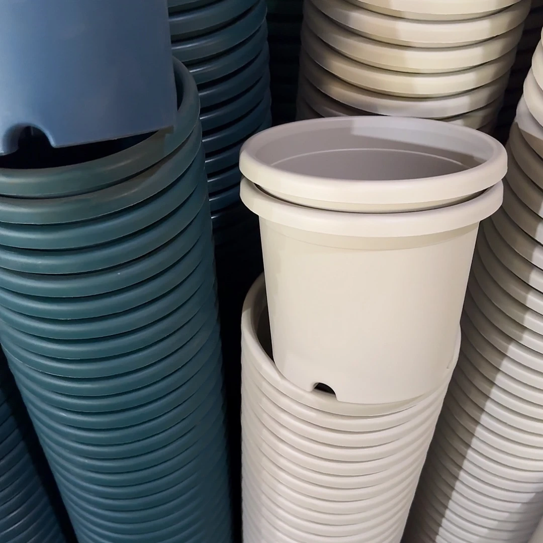 树脂四季3号无托10个灰白微瑕