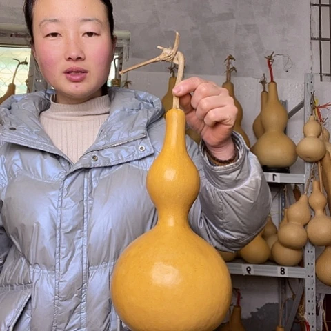 天然植物葫芦文玩