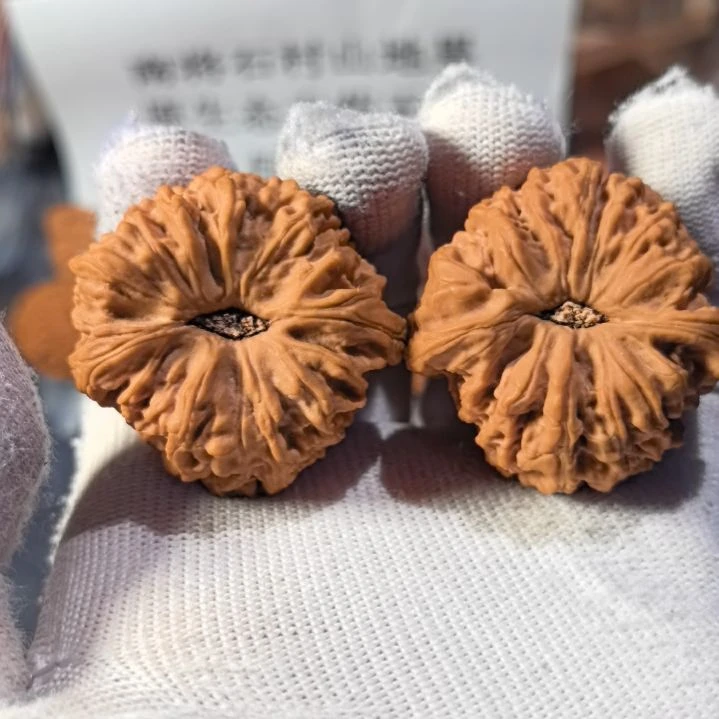 用***4涛子南将石直播拍