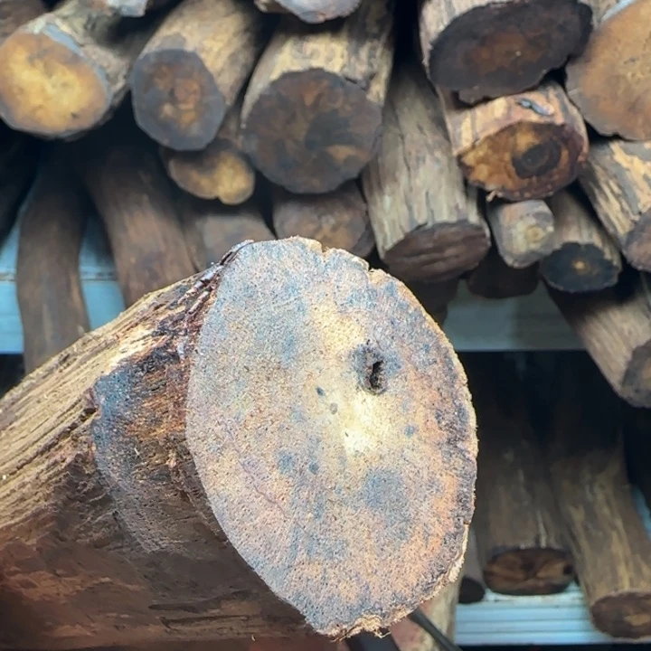 好***喜木降真香开料直插间