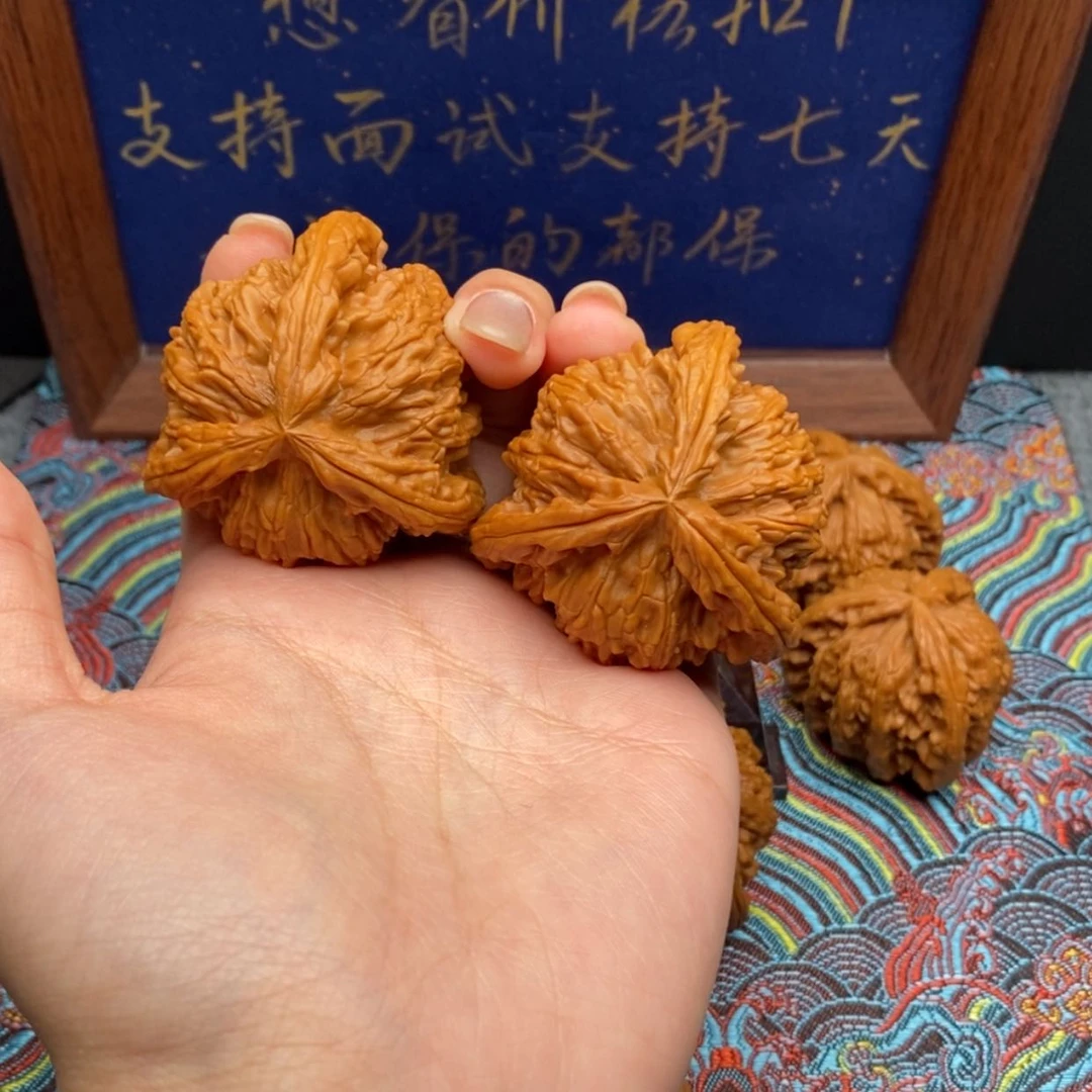 【闪购商品】L****n白狮