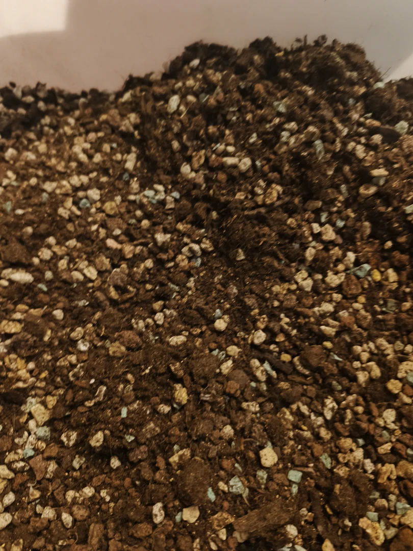 多肉专用颗粒土种植泥炭营养土1kg！疏松透气有机植物花土