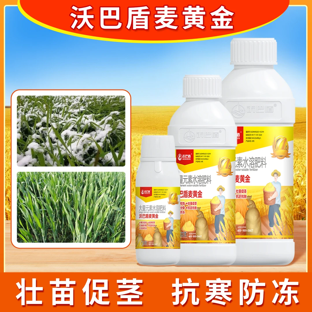 沃巴盾整箱装麦黄金抗寒防冻壮苗促茎抗倒伏穗大粒饱农用水溶肥料
