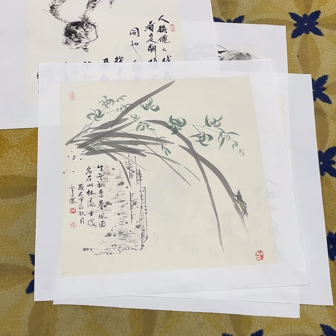 国画踏**梅花鸟作品展示111111