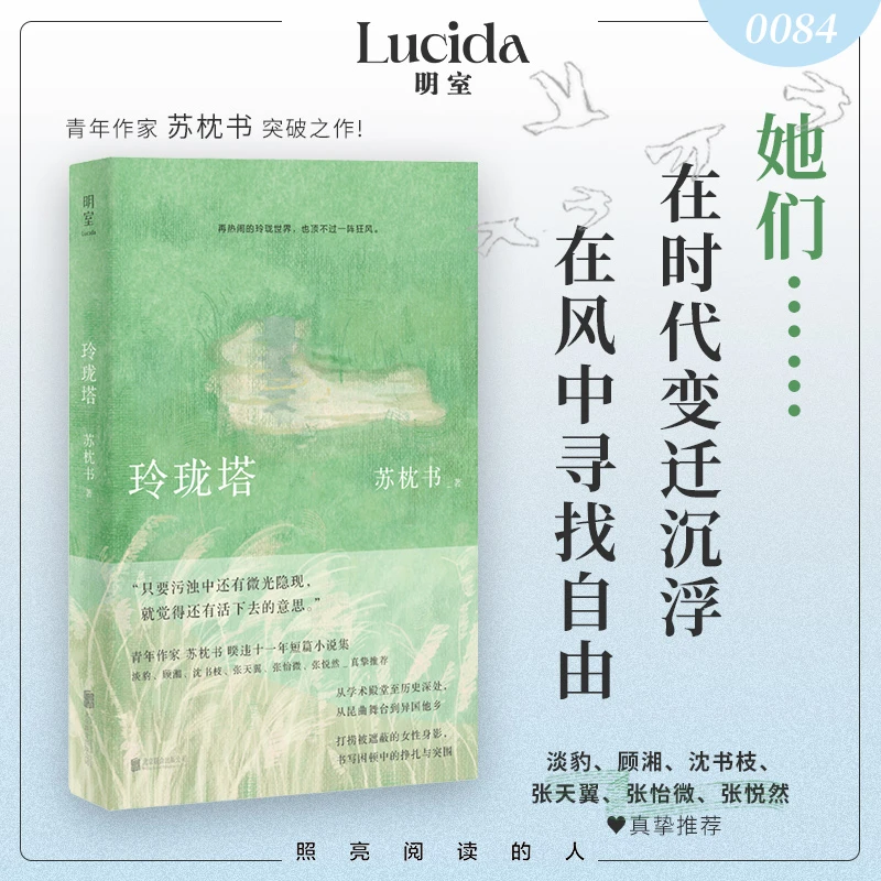 玲珑塔(苏枕书暌违11年短篇小说集,捕捉时代变迁中的个人沉浮,