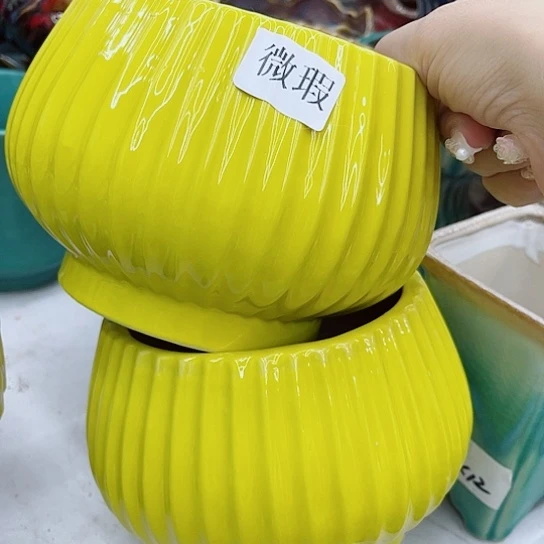 多肉绿植陶瓷花盆9.9包邮，有空