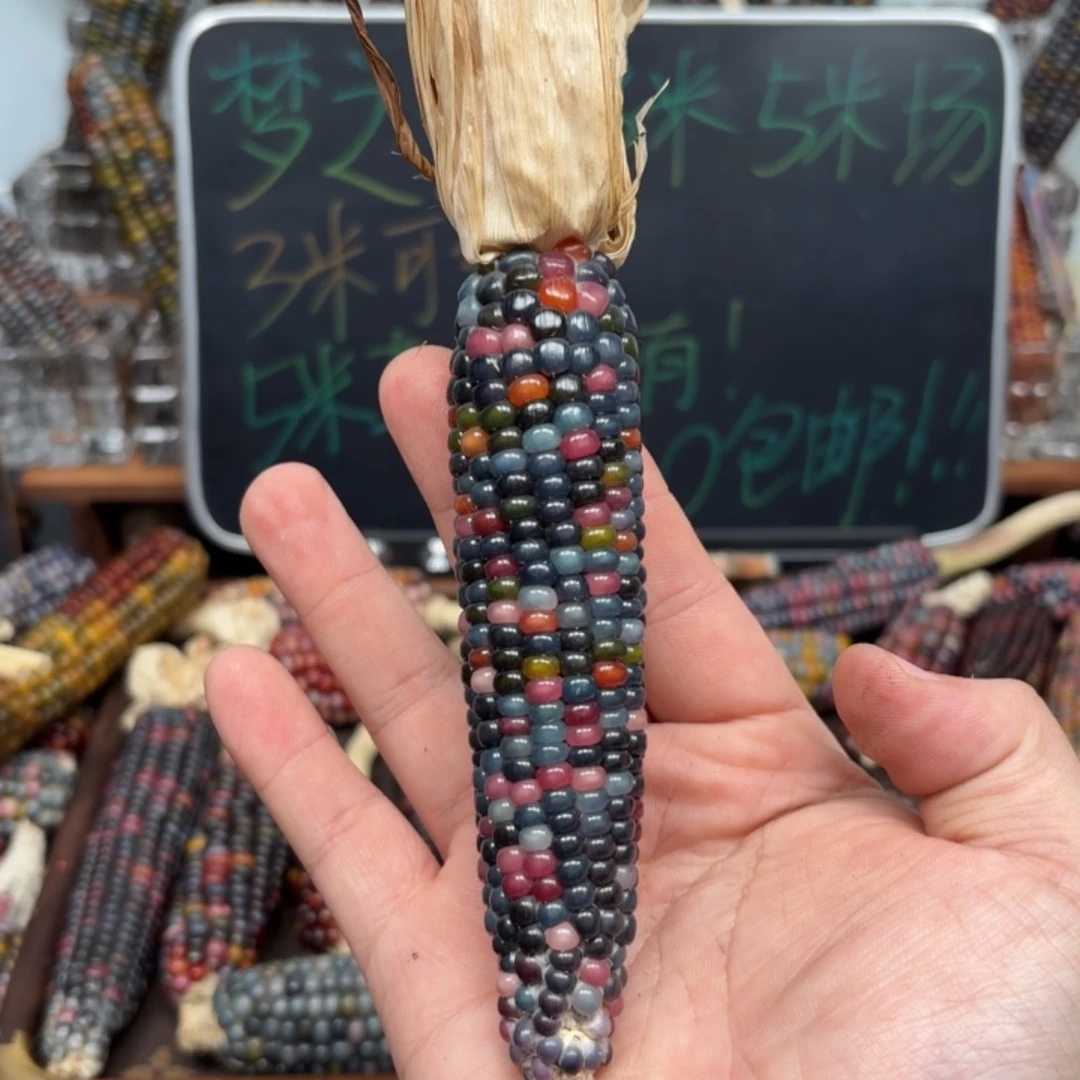 柏香籽/百香籽吊坠成****名