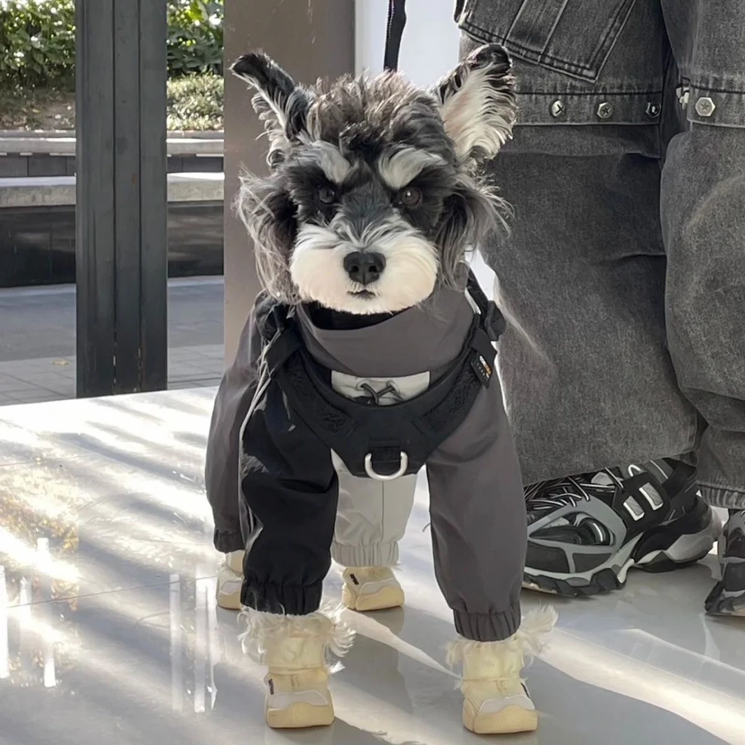 宠物潮牌冲锋衣泰迪比熊雪纳瑞法斗狗狗猫咪秋冬保暖衣服