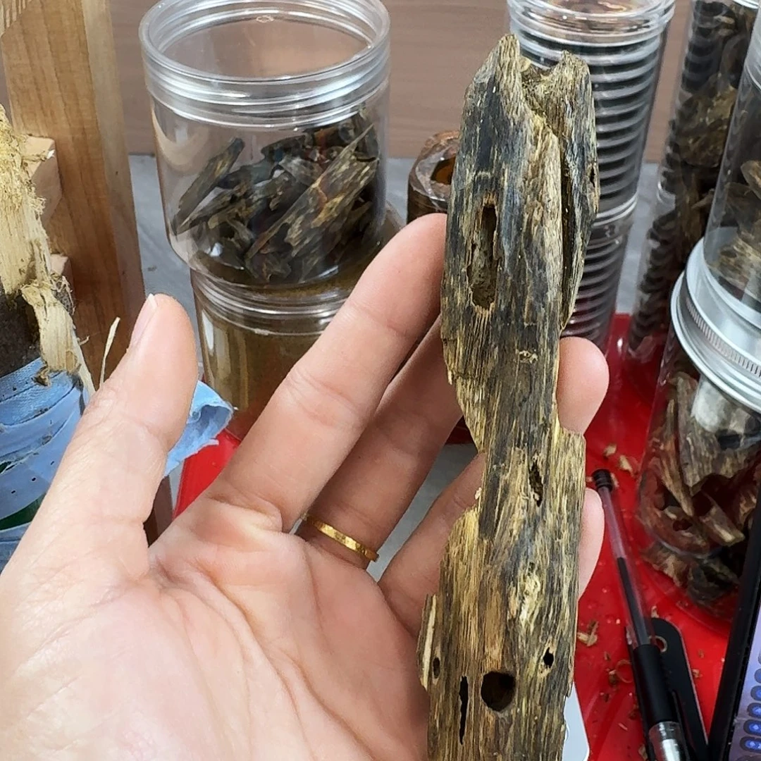 香料绿奇楠虫漏张勺子19克