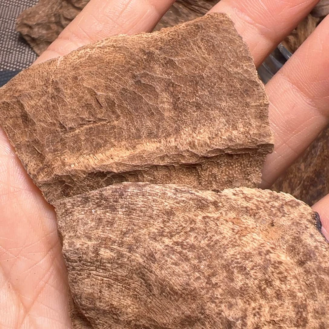 香榧木老顶老料 3.6克