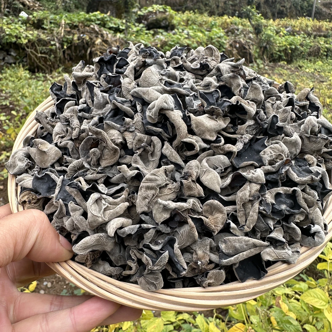 神农架自然生长  椴木黑木耳【阿凯代卖】