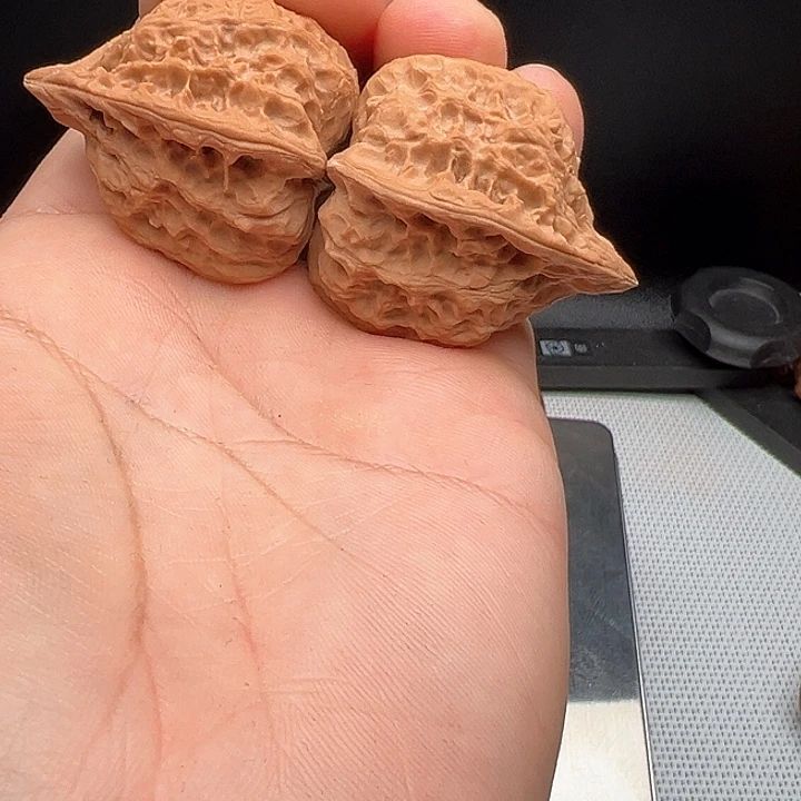 文玩核桃把件梁*哒野生