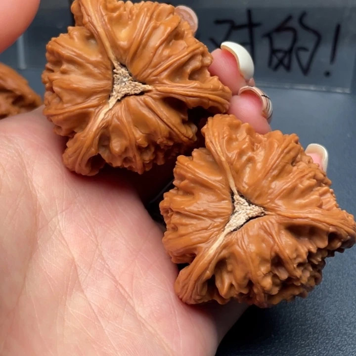 手***名文玩核桃吊坠白狮子