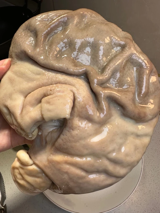 清姐同款熟猪肚发2个，1个一斤左右，送咸菜2包