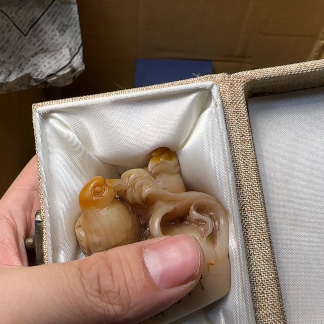 老*如图所示所拍即所得