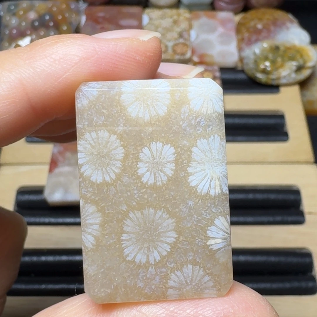 硅化玉冰透光花，白大花未镶嵌