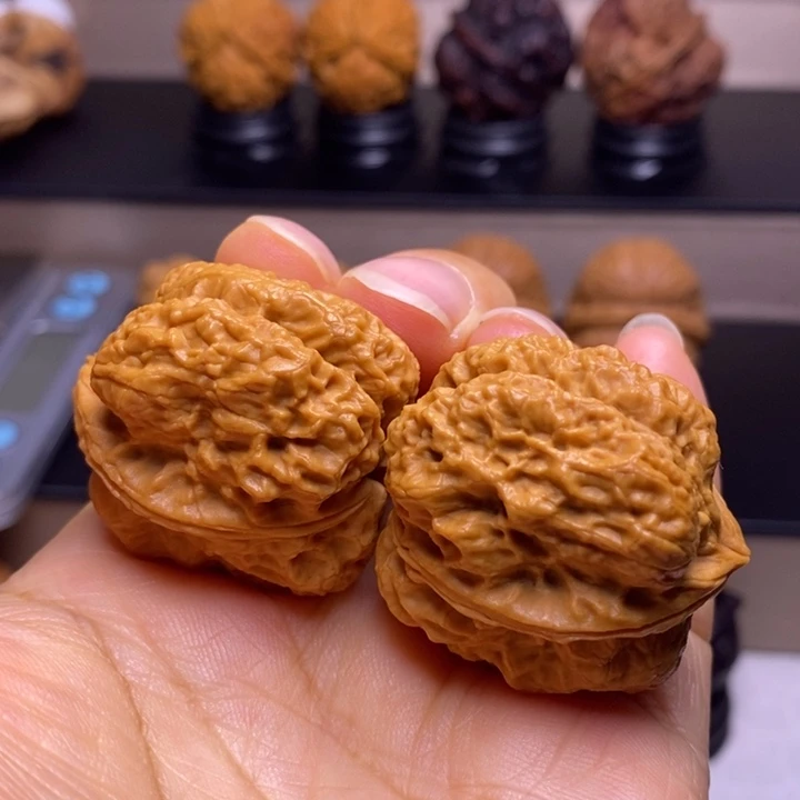 把件文玩核桃霸王龙脊8