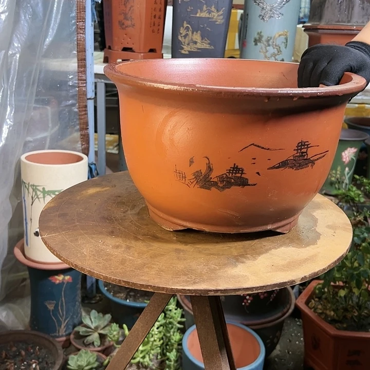 35紫气东来花盆花盆花盆