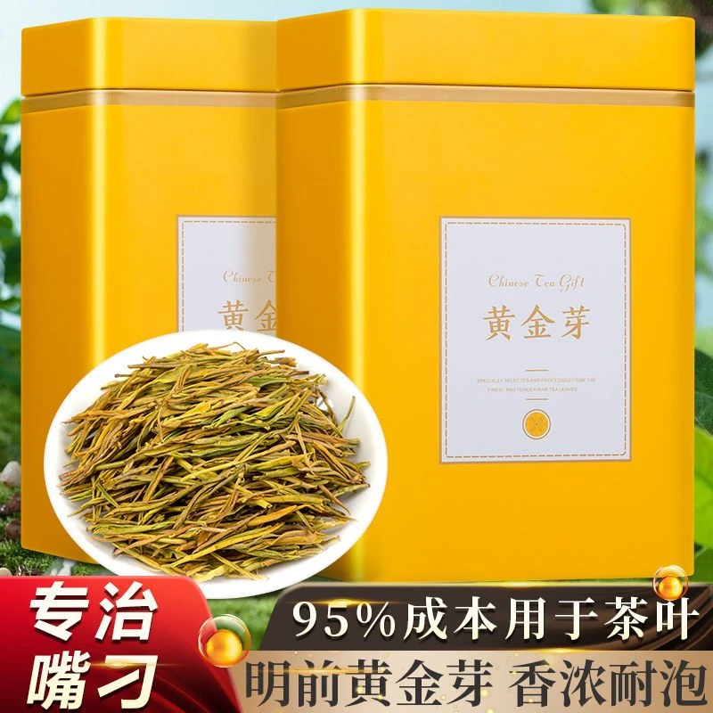 2025年新茶直条高山黄金芽绿茶浓香型耐泡口粮茶罐装
